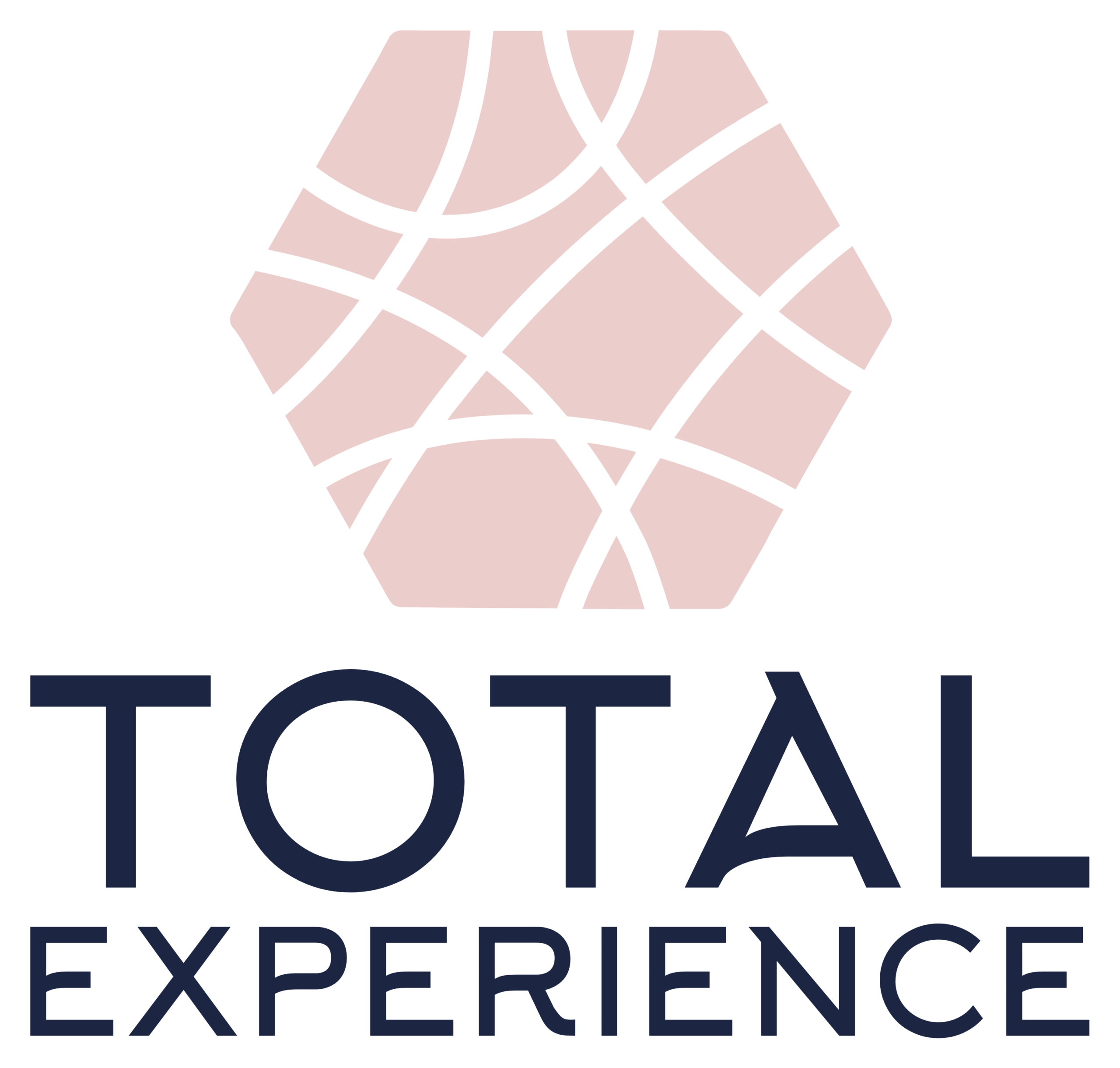 Total Experience